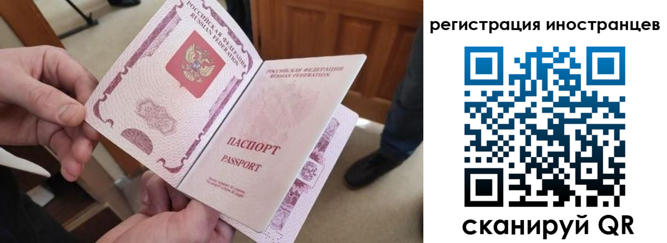 прописка ребенка в Фрязино